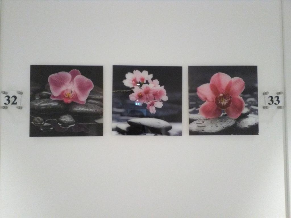 Hotel Orchidea Bardolino Buitenkant foto